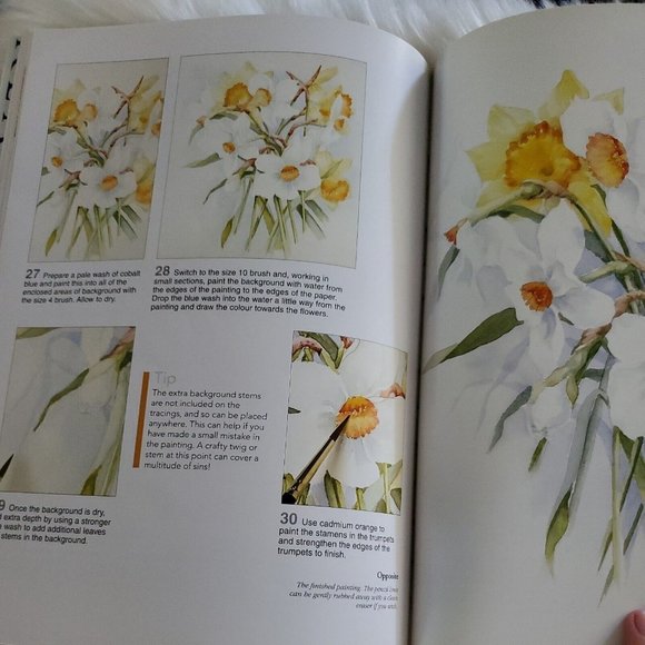 Ready to Paint Series: Ready to Paint Watercolour Flowers by Wendy Tait (2008) - Picture 11 of 11